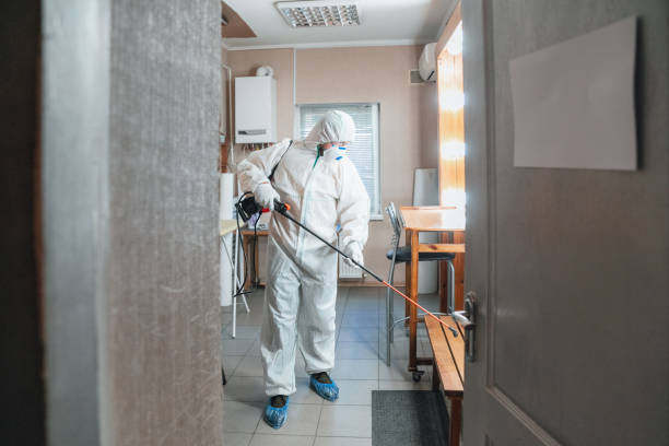 Best Forensic Mold Investigation  in Rocky Mount, NC