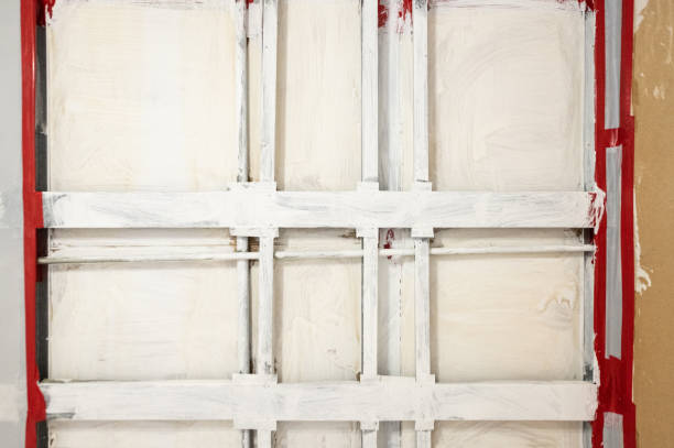 Best Mold Prevention Services  in Rocky Mount, NC