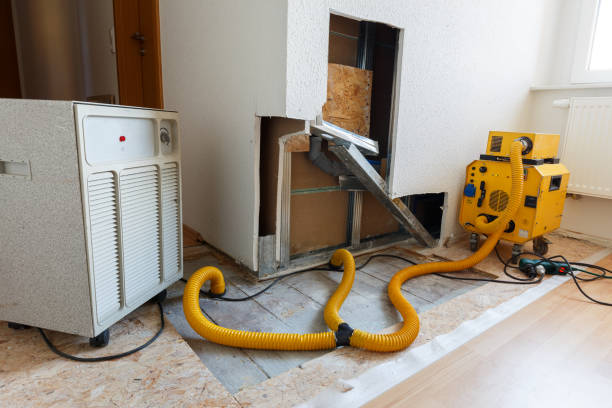 Best HVAC Mold Inspection and Cleaning  in Rocky Mount, NC