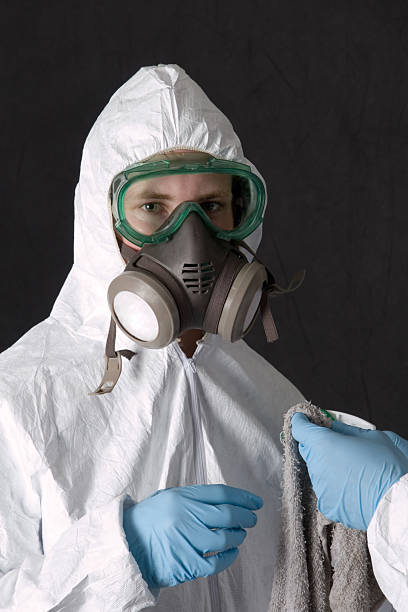 Best Crawl Space Mold Remediation  in Rocky Mount, NC